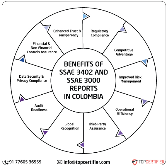 SSAE & SSAE 3000 Report in colombia